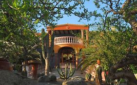 Villa Del Faro